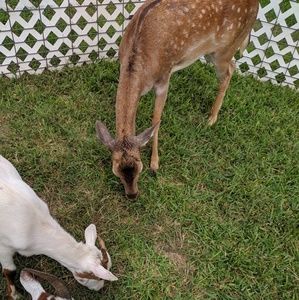 Meet your Posher, Jan